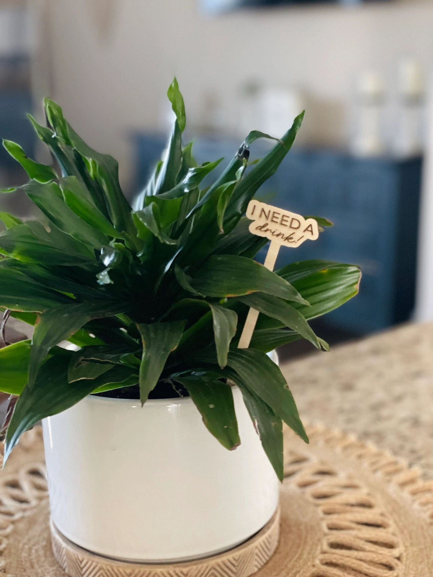 Wooden Plant Stakes| Funny Sayings