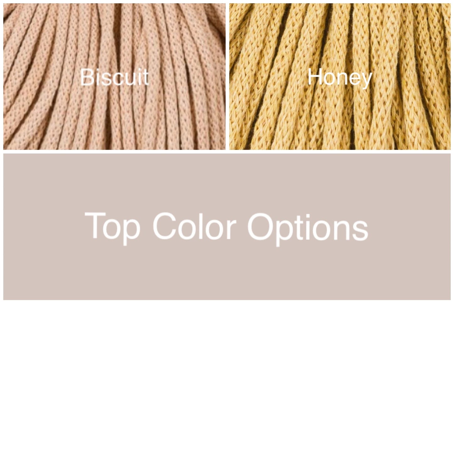 Coiled Basket Bundle| Multicolored