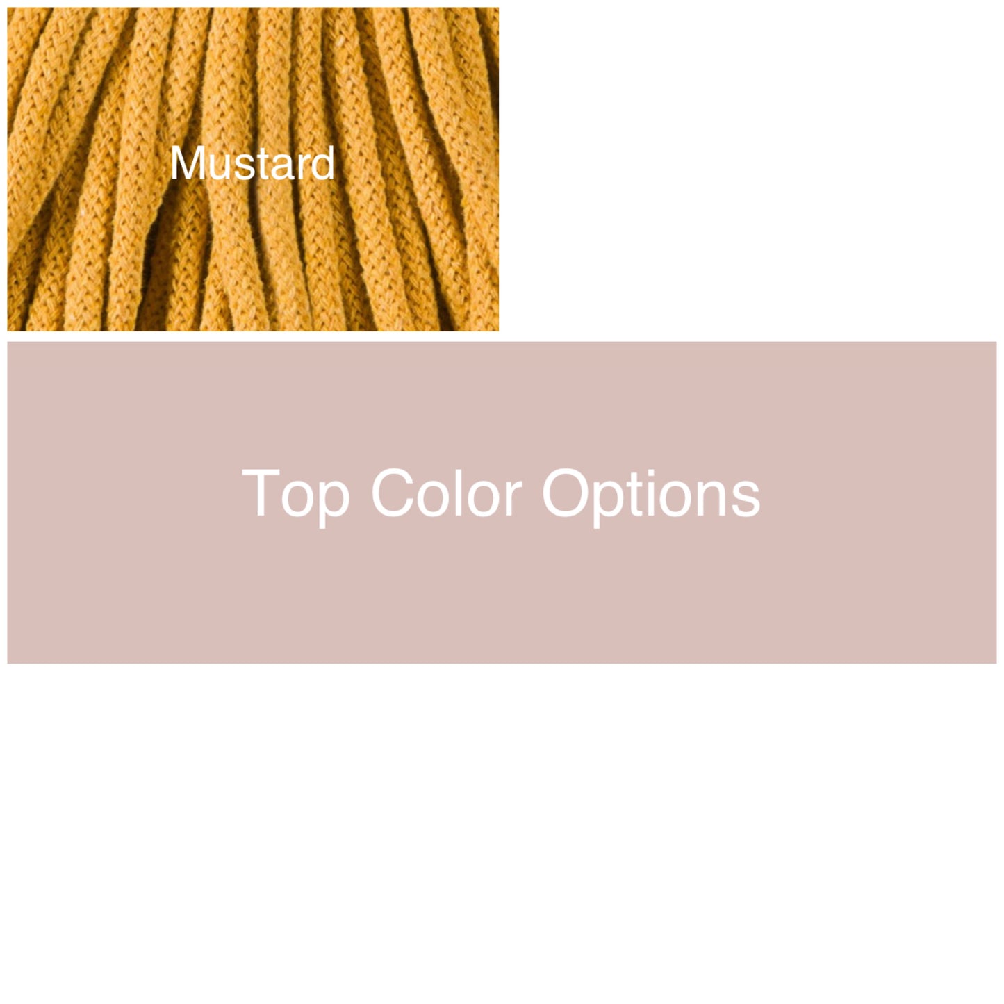 Coiled Basket Bundle| Multicolored