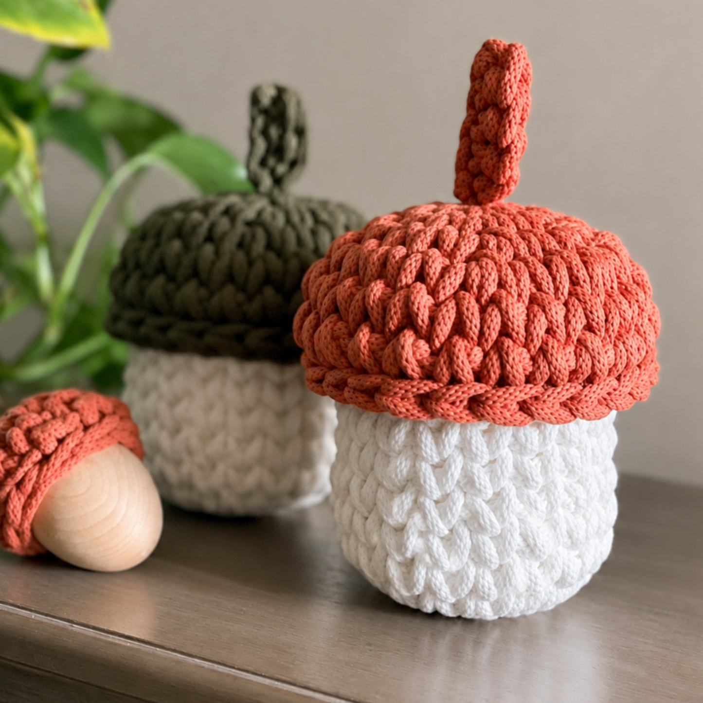 Crochet Acorn DIY Kit | Now taking PREORDERS